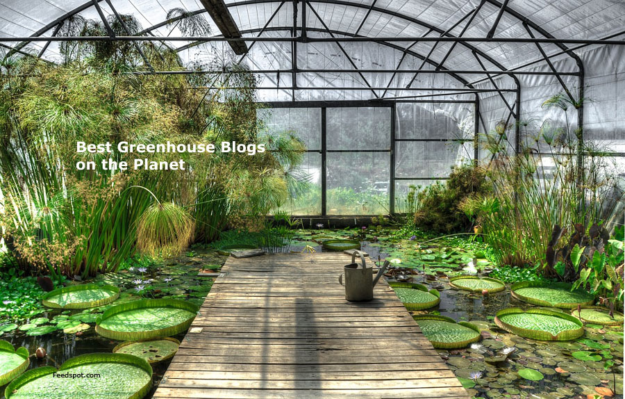 13 Must-Have Greenhouse Supplies - Gothic Arch Greenhouses - Blog